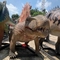 テーマ パークのためのサンプルーフの現実的なアニマトロニクスの恐竜4m Dimetrodonの彫像
