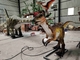 大人のテーマ パークの現実的な恐竜のロボットAnimatronicヴェロキラプトル