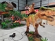 ショッピング モールの恐竜ショーの現実的な歩くことのカスタマイズされた長さの乗車