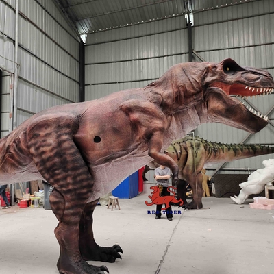 購入 博物館の現実的な恐竜の衣裳 カスタマイズされる長さ8mの大人の年齢の音 online manufacture
