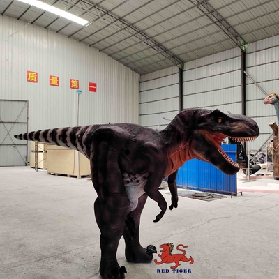 カスタマイズされた実生活のTレックスの衣装、屋内ティラノサウルスのスーツ