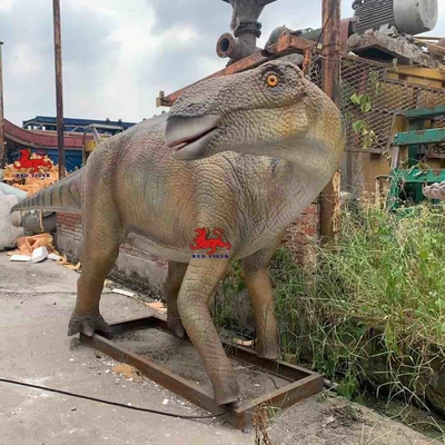 名前