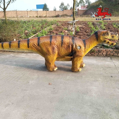 名前