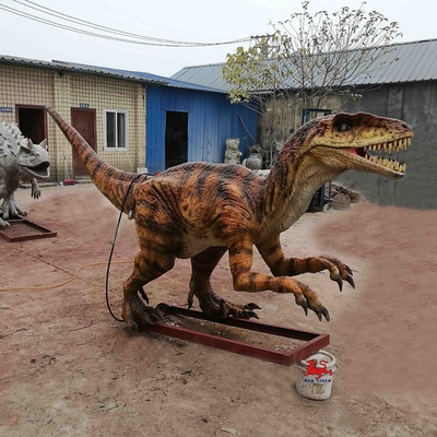 名前