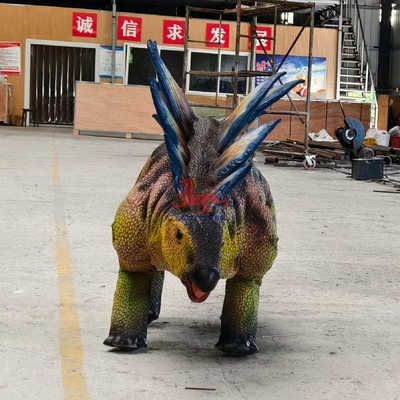名前