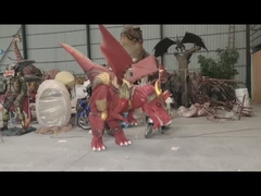 赤いはえのドラゴンの衣裳